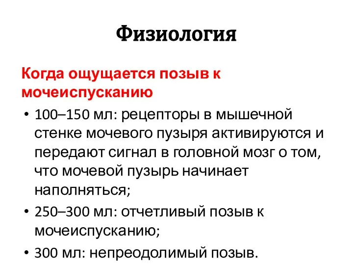 Физиология Когда ощущается позыв к мочеиспусканию 100–150 мл: рецепторы в мышечной стенке