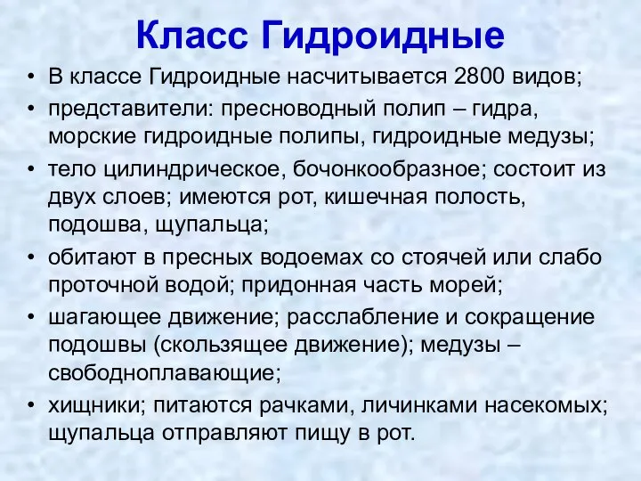 Класс Гидроидные В классе Гидроидные насчитывается 2800 видов; представители: пресноводный полип –