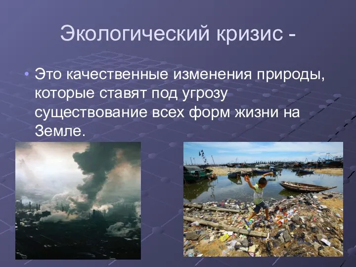 Экологический кризис - Это качественные изменения природы, которые ставят под угрозу существование