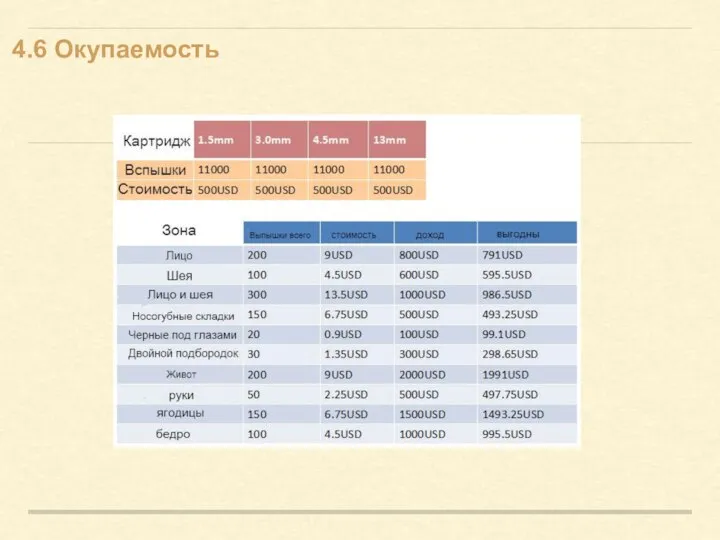 4.6 Окупаемость