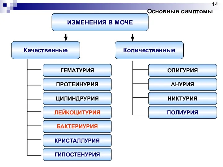 ИЗМЕНЕНИЯ В МОЧЕ Количественные Качественные ГЕМАТУРИЯ ПРОТЕИНУРИЯ ЦИЛИНДРУРИЯ ЛЕЙКОЦИТУРИЯ БАКТЕРИУРИЯ КРИСТАЛЛУРИЯ ГИПОСТЕНУРИЯ