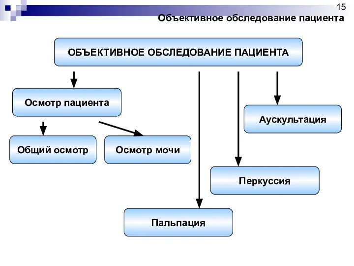 ОБЪЕКТИВНОЕ ОБСЛЕДОВАНИЕ ПАЦИЕНТА Осмотр пациента Аускультация Пальпация Перкуссия Общий осмотр Осмотр мочи Объективное обследование пациента 15