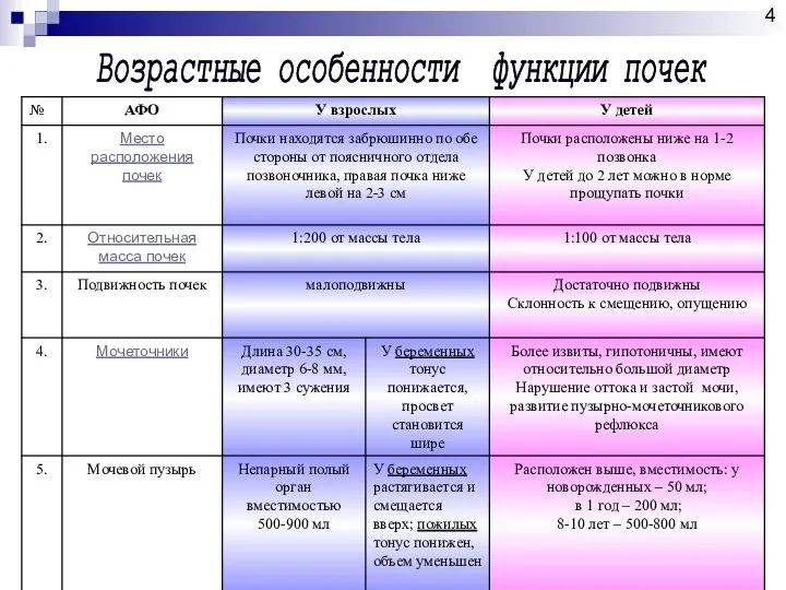 Возрастные особенности функции почек 4