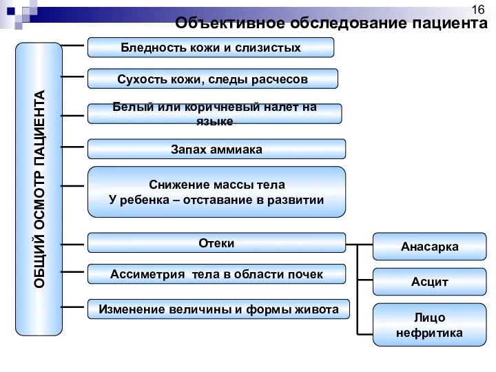 ОБЩИЙ ОСМОТР ПАЦИЕНТА Бледность кожи и слизистых Сухость кожи, следы расчесов Белый