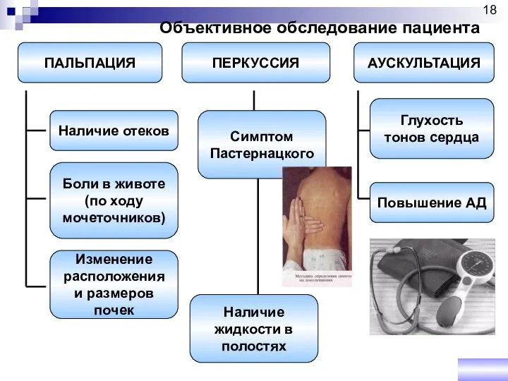 Объективное обследование пациента ПАЛЬПАЦИЯ ПЕРКУССИЯ АУСКУЛЬТАЦИЯ Наличие отеков Боли в животе (по