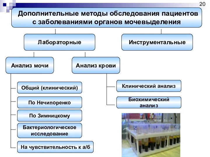 Дополнительные методы обследования пациентов с заболеваниями органов мочевыделения Лабораторные Инструментальные Анализ мочи