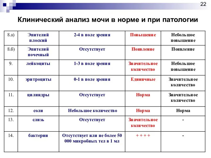 Клинический анализ мочи в норме и при патологии 22