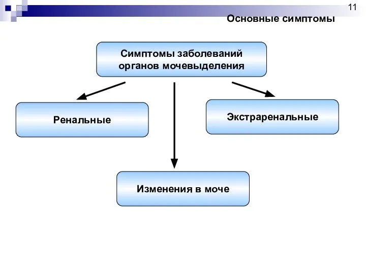 Симптомы заболеваний органов мочевыделения Ренальные Экстраренальные Изменения в моче Основные симптомы 11