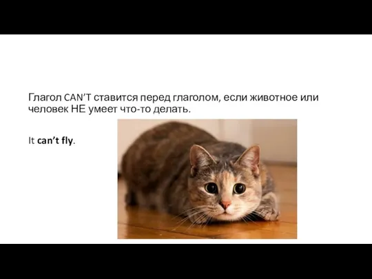 Глагол CAN’T ставится перед глаголом, если животное или человек НЕ умеет что-то делать. It can’t fly.