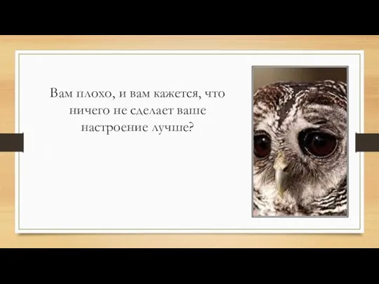 Вам плохо, и вам кажется, что ничего не сделает ваше настроение лучше?