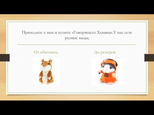 Приходите к нам и купите «Говорящего Хомяка».У нас есть разные виды; От обычных; До реперов