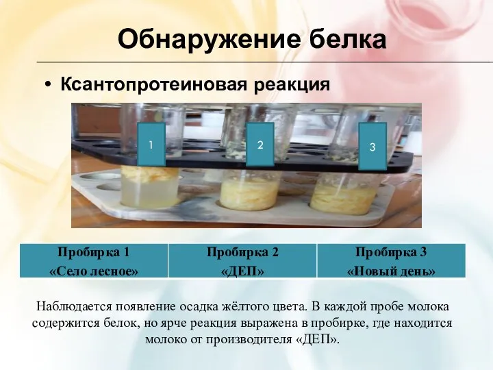 Обнаружение белка Ксантопротеиновая реакция 1 2 3 Наблюдается появление осадка жёлтого цвета.