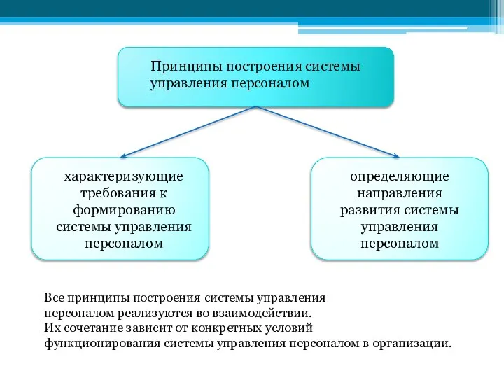 Принципы построения системы управления персоналом определяющие направления развития системы управления персоналом характеризующие