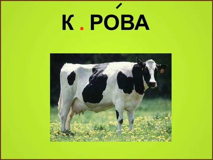 К . РОВА