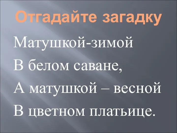 Отгадайте загадку Матушкой-зимой В белом саване, А матушкой – весной В цветном платьице.