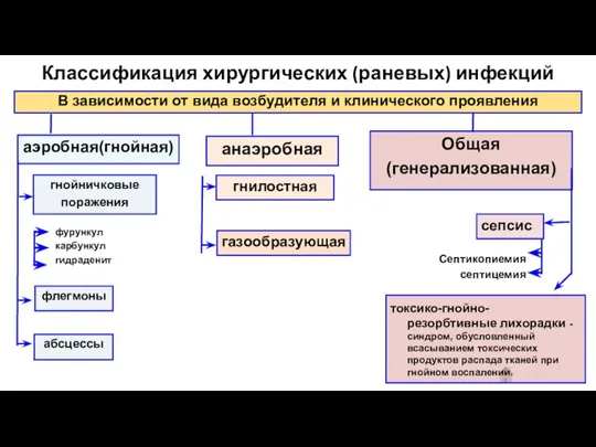 Классификация хирургических (раневых) инфекций В зависимости от вида возбудителя и клинического проявления