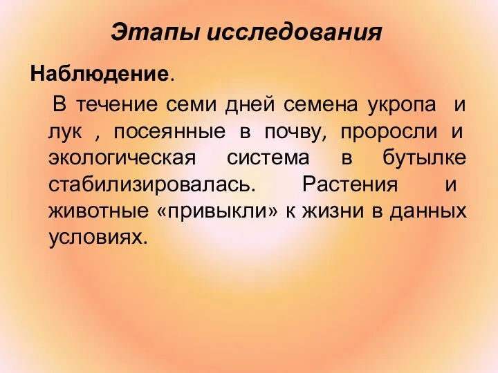 Этапы исследования Наблюдение. В течение семи дней семена укропа и лук ,