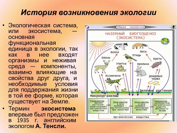 История возникновения экологии Экологическая система, или экосистема, — основная функциональная единица в