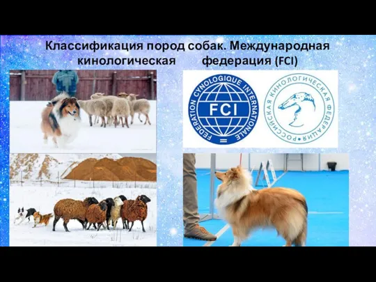 Классификация пород собак. Международная кинологическая федерация (FCI)