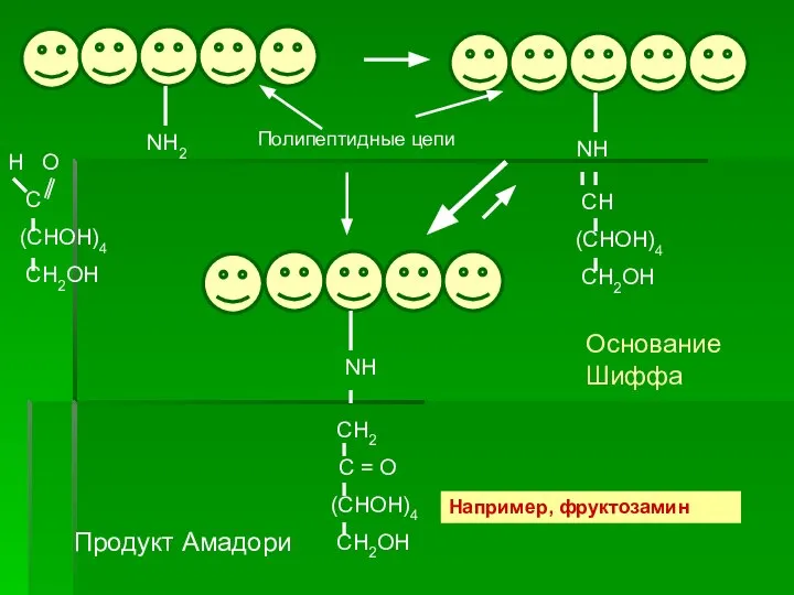 NH2 H O C (CHOH)4 CH2OH NH CH (CHOH)4 CH2OH NH CH2