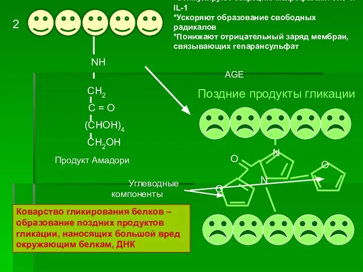 NH CH2 C = O (CHOH)4 CH2OH 2 N N O O