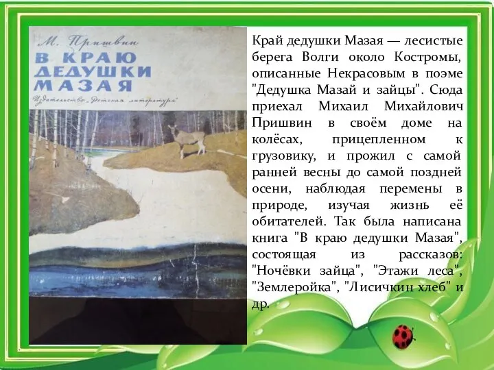 Край дедушки Мазая — лесистые берега Волги около Костромы, описанные Некрасовым в