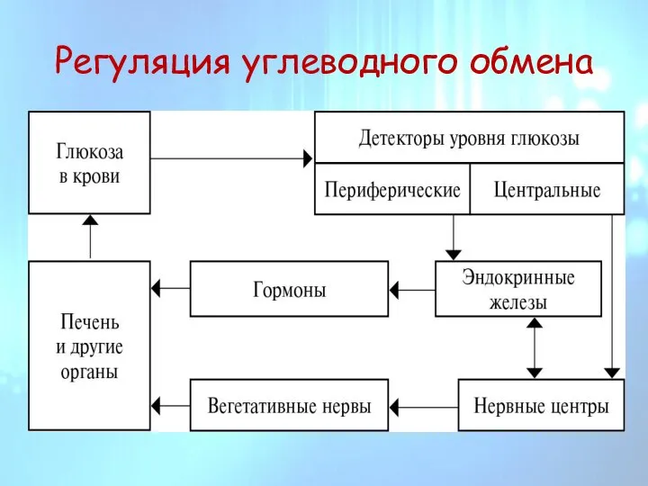 Регуляция углеводного обмена