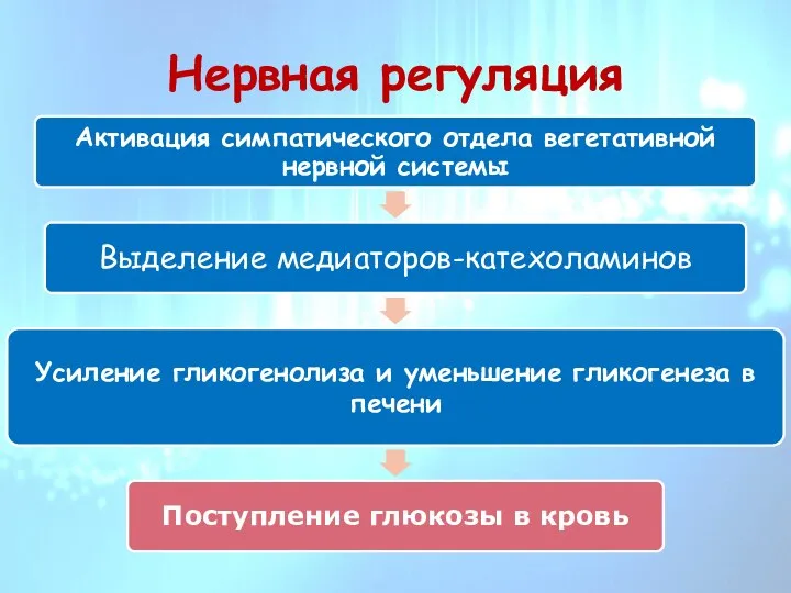 Нервная регуляция