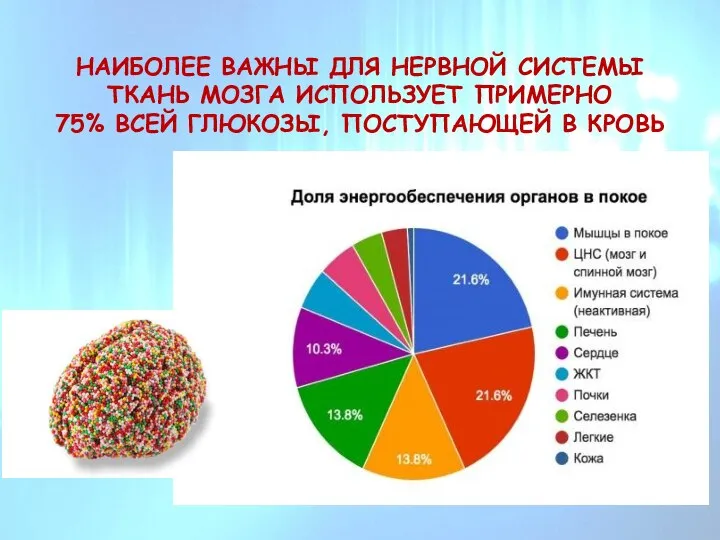 НАИБОЛЕЕ ВАЖНЫ ДЛЯ НЕРВНОЙ СИСТЕМЫ ТКАНЬ МОЗГА ИСПОЛЬЗУЕТ ПРИМЕРНО 75% ВСЕЙ ГЛЮКОЗЫ, ПОСТУПАЮЩЕЙ В КРОВЬ