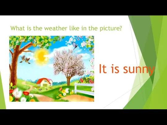 What is the weather like in the picture? It is sunny