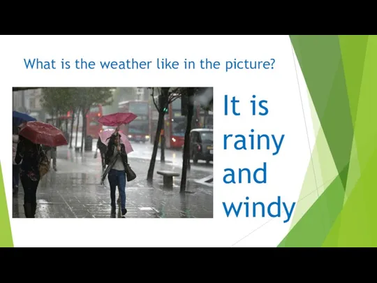 What is the weather like in the picture? It is rainy and windy