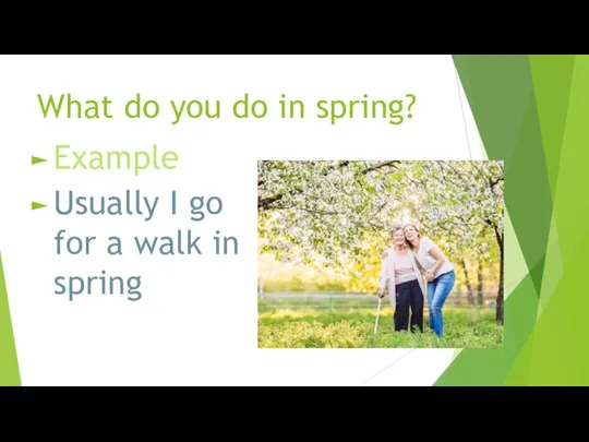 What do you do in spring? Example Usually I go for a walk in spring