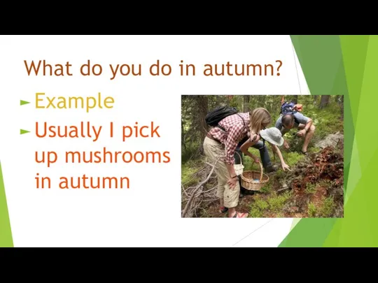 What do you do in autumn? Example Usually I pick up mushrooms in autumn