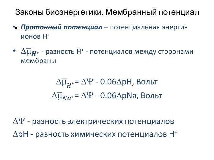 Законы биоэнергетики. Мембранный потенциал