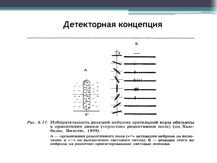 Детекторная концепция