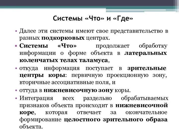 Системы «Что» и «Где» Далее эти системы имеют свое представительство в разных