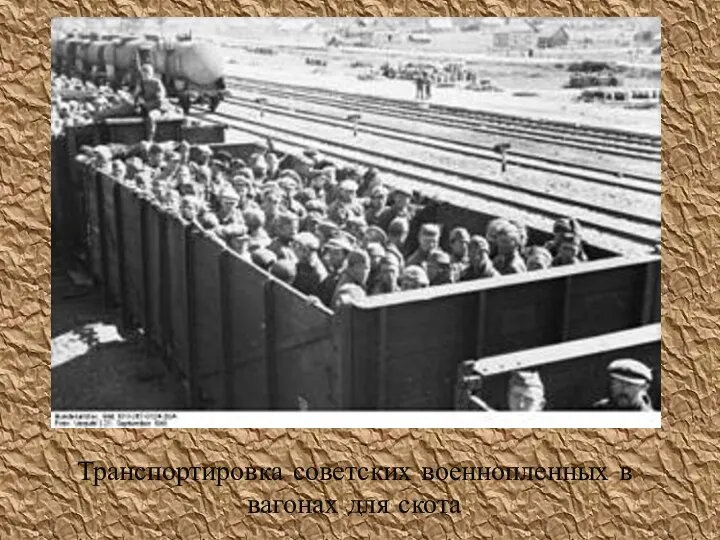 Транспортировка советских военнопленных в вагонах для скота
