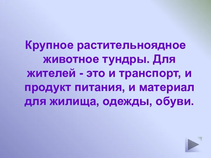 Крупное растительноядное животное тундры. Для жителей - это и транспорт, и продукт