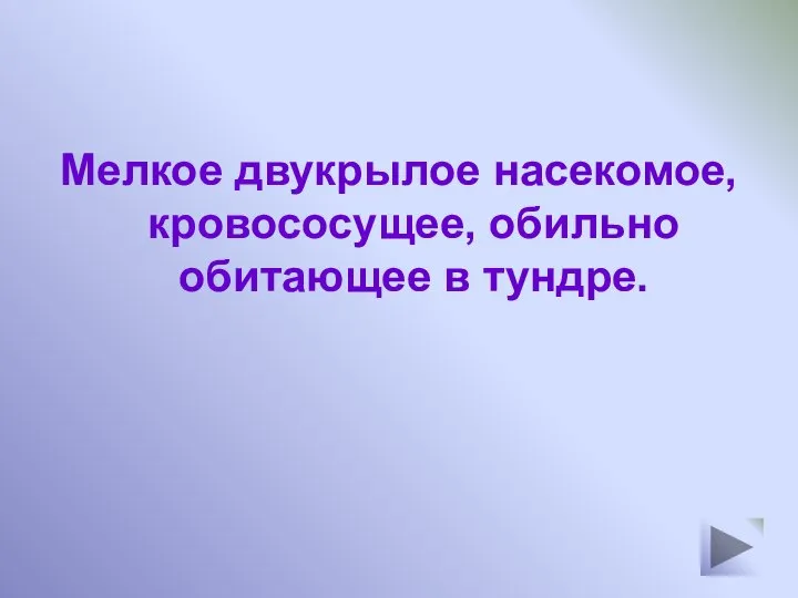 Мелкое двукрылое насекомое, кровососущее, обильно обитающее в тундре.