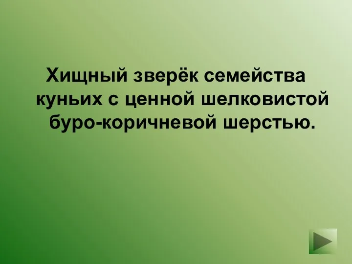 Хищный зверёк семейства куньих с ценной шелковистой буро-коричневой шерстью.