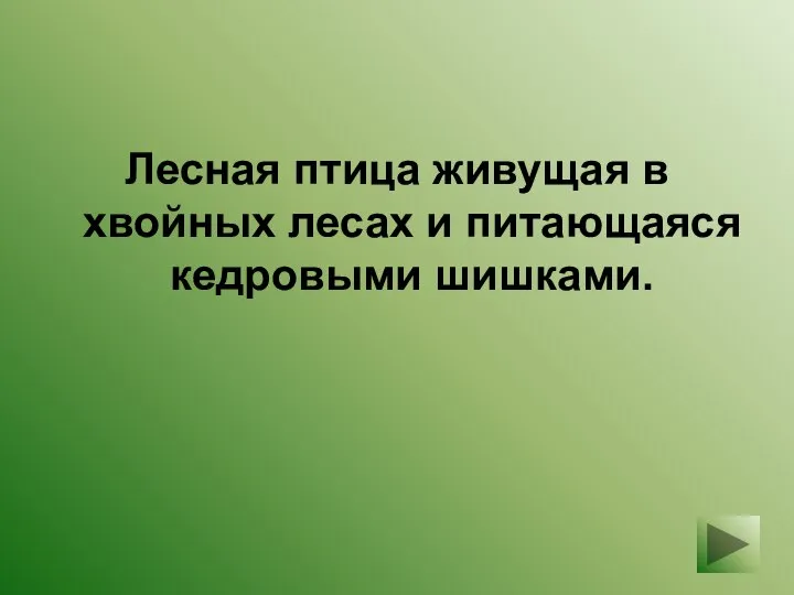 Лесная птица живущая в хвойных лесах и питающаяся кедровыми шишками.