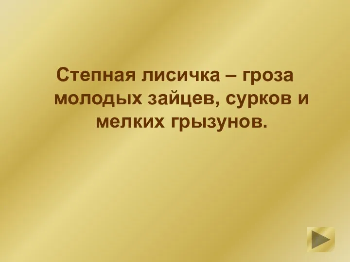 Степная лисичка – гроза молодых зайцев, сурков и мелких грызунов.