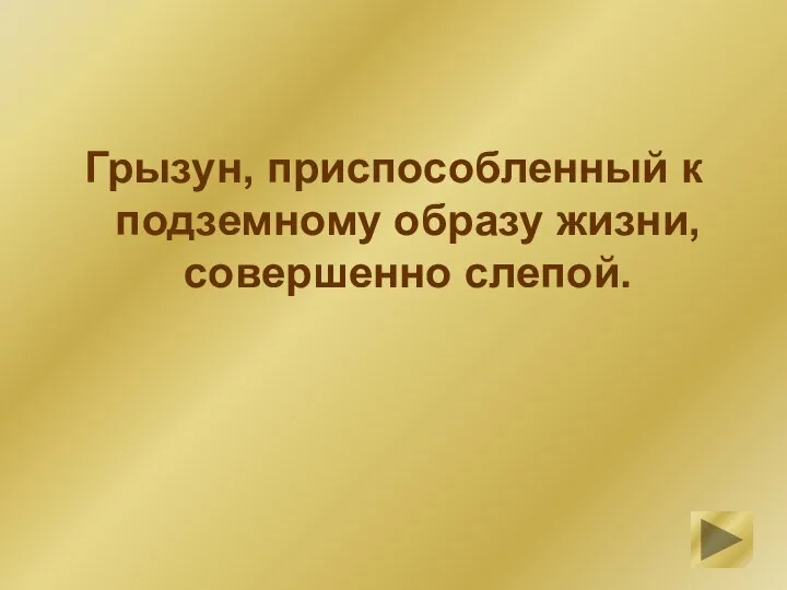 Грызун, приспособленный к подземному образу жизни, совершенно слепой.