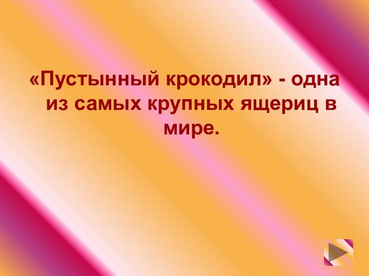 «Пустынный крокодил» - одна из самых крупных ящериц в мире.