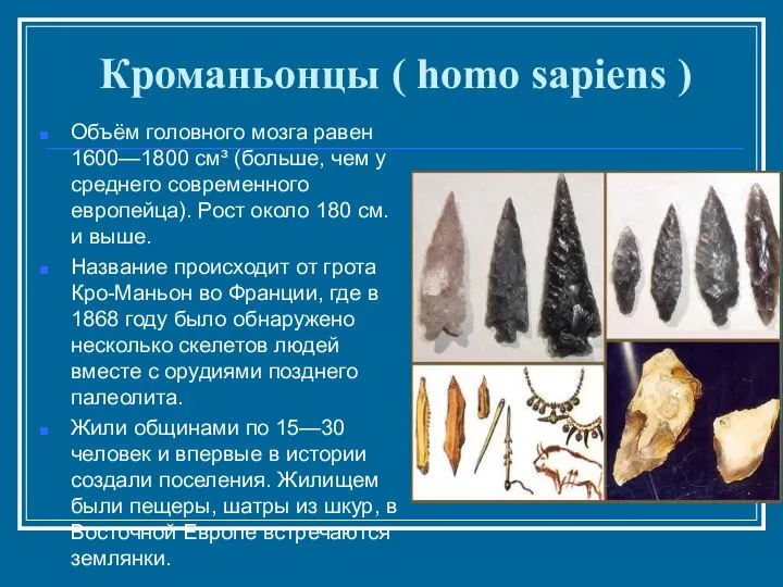 Кроманьонцы ( homo sapiens ) Объём головного мозга равен 1600—1800 см³ (больше,