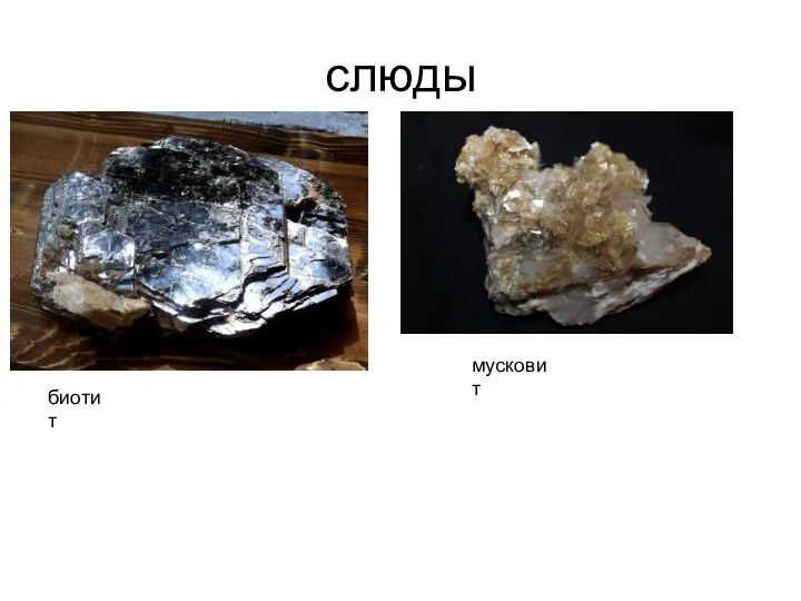 слюды биотит мусковит