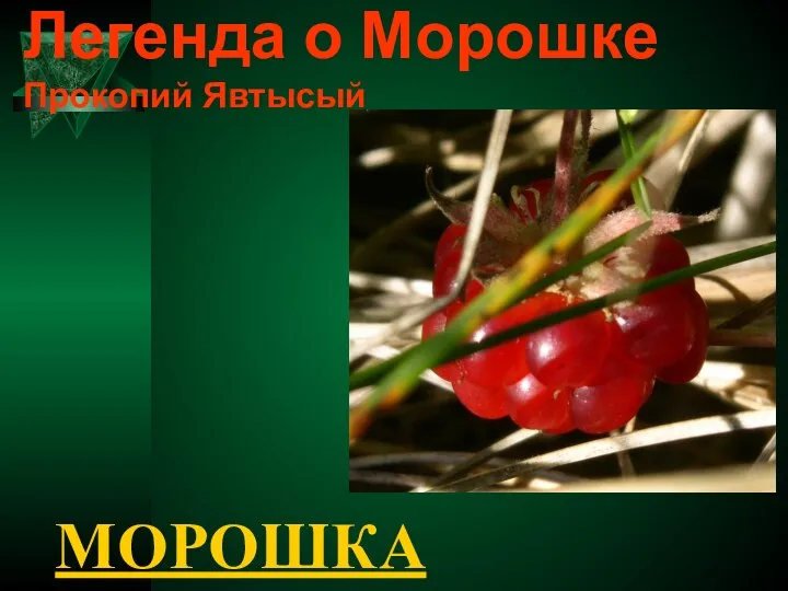 Легенда о Морошке Прокопий Явтысый МОРОШКА