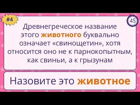 Древнегреческое название этого животного буквально означает «свинощетин», хотя относится оно не к