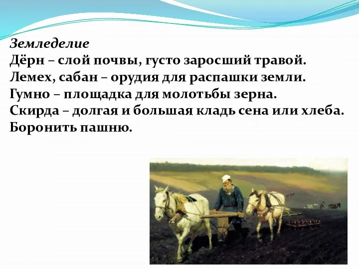 Земледелие Дёрн – слой почвы, густо заросший травой. Лемех, сабан – орудия