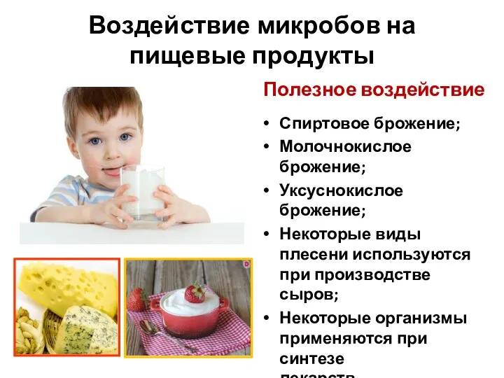 Воздействие микробов на пищевые продукты Полезное воздействие Спиртовое брожение; Молочнокислое брожение; Уксуснокислое